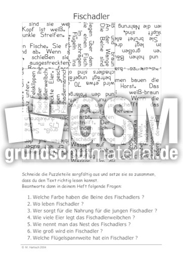 Fischadler.pdf